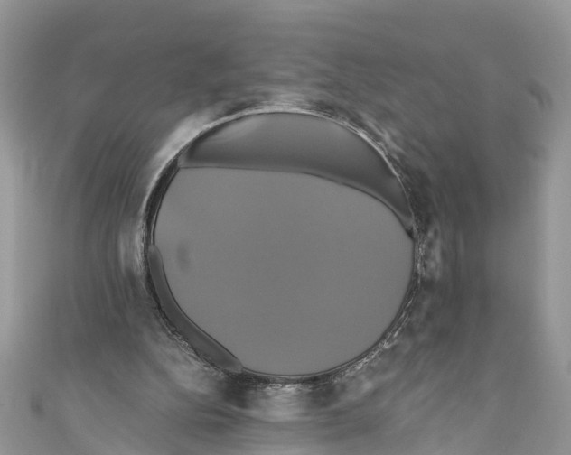 X0000110990152200907171759