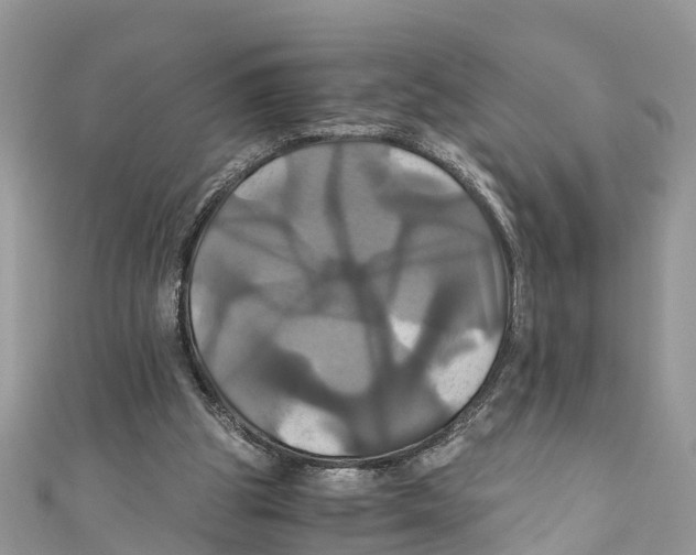 X0000110990153200907171759