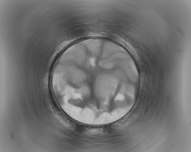 X0000110990155200907171759
