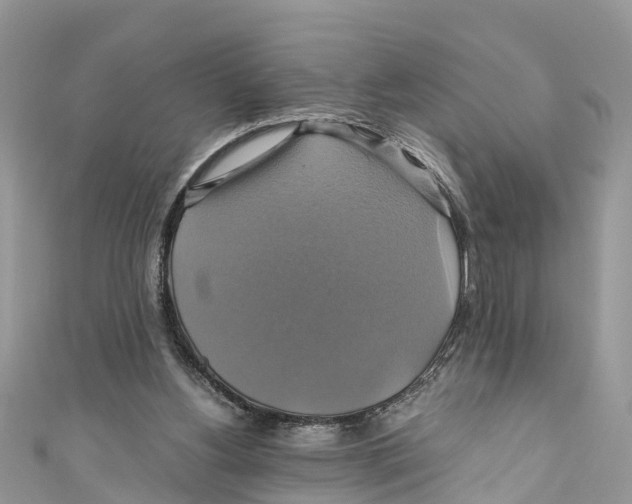 X0000110990156200907171759