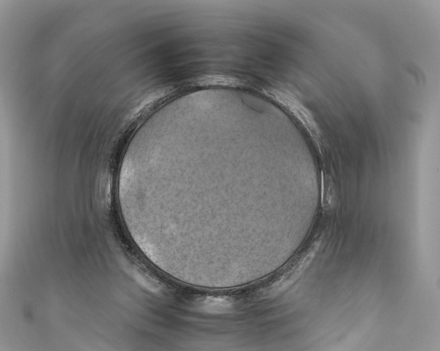 X0000110990157200907171759