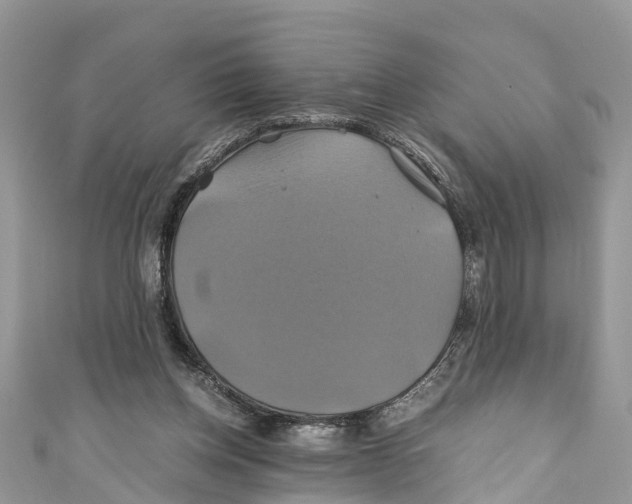 X0000110990158200907171759