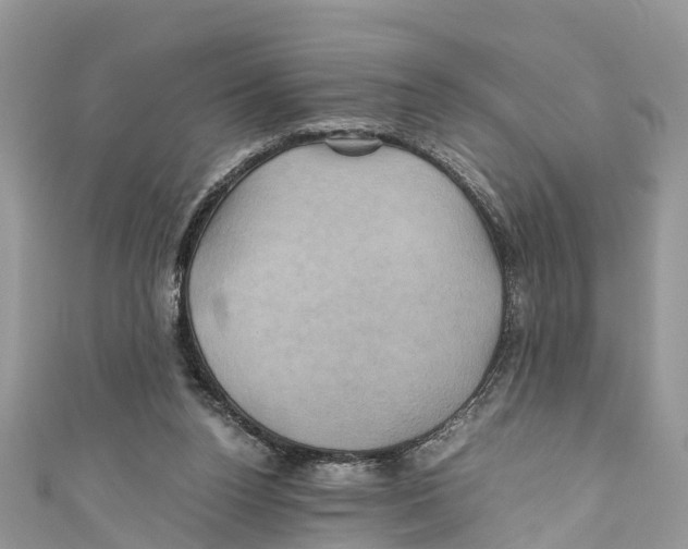 X0000110990160200907171759