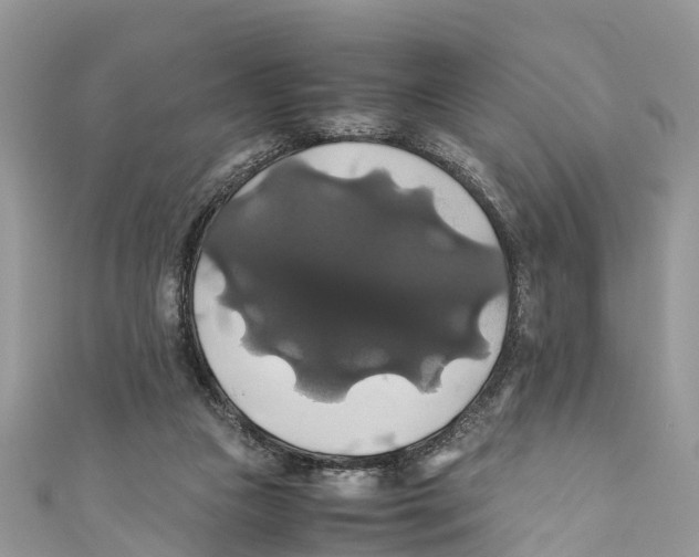 X0000110990161200907171759