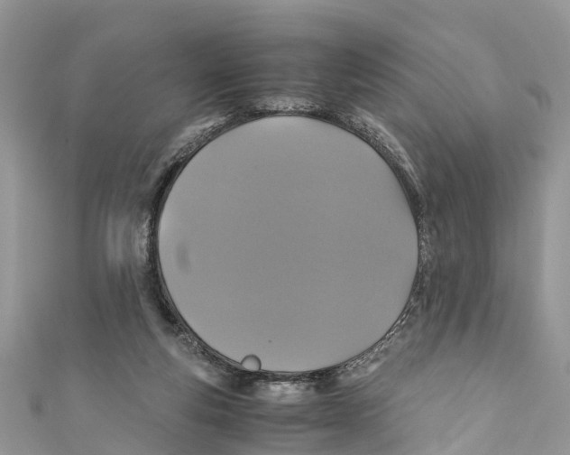 X0000110990163200907171759