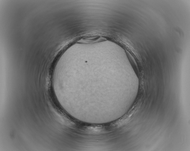 X0000110990164200907171759