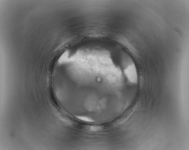 X0000110990165200907171759