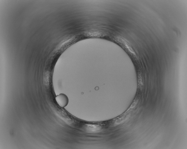 X0000110990167200907171759