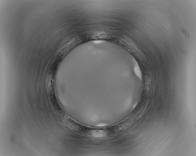 X0000110990169200907171759