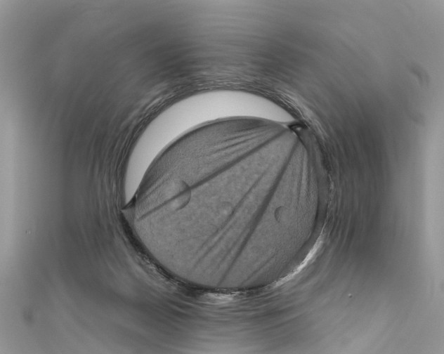 X0000110990170200907171759