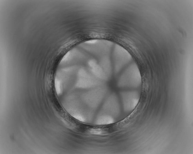 X0000110990171200907171759