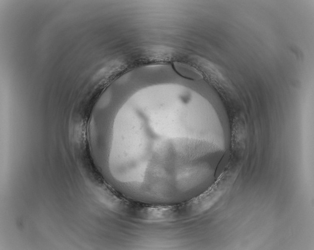 X0000110990172200907171759