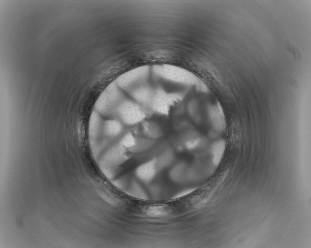 X0000110990173200907171759