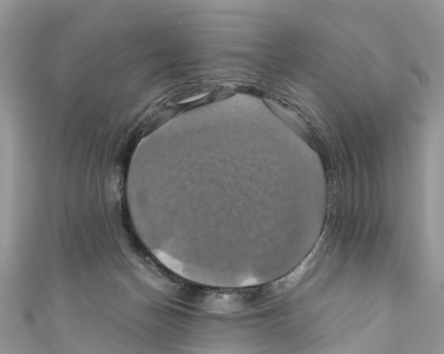 X0000110990174200907171759