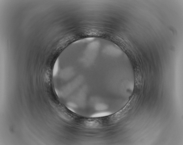 X0000110990175200907171759