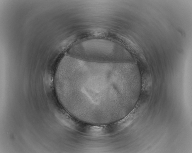 X0000110990176200907171759