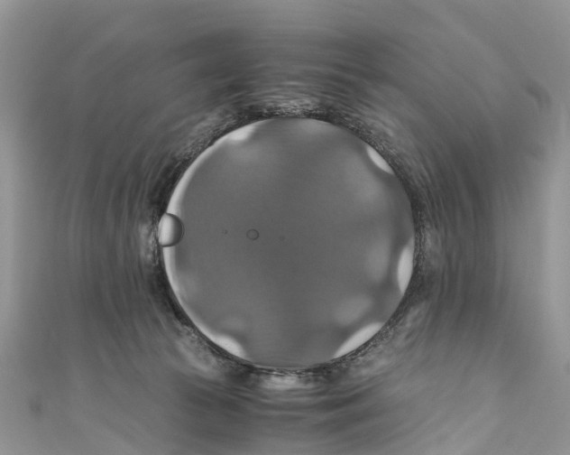 X0000110990177200907171759