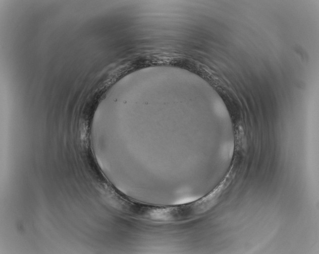 X0000110990178200907171759