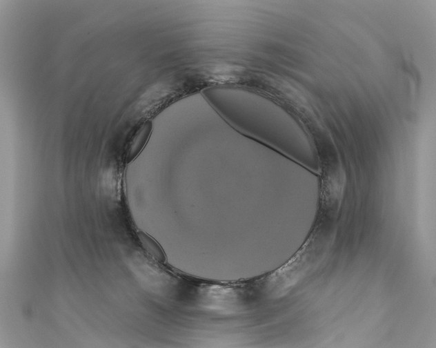 X0000110990180200907171759