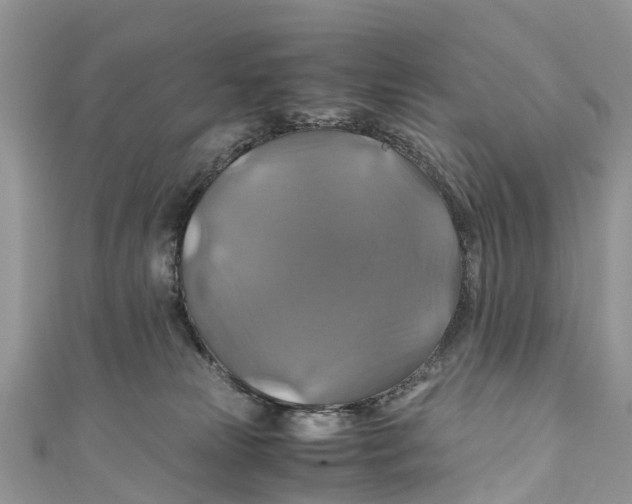 X0000110990181200907171759