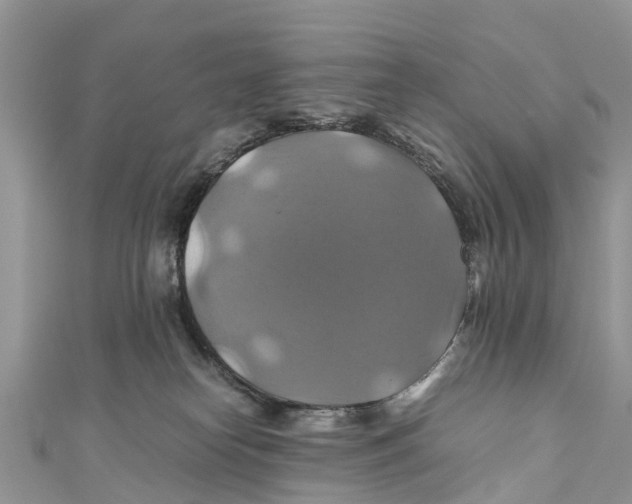 X0000110990182200907171759
