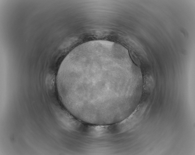 X0000110990184200907171759