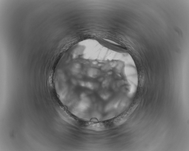 X0000110990185200907171759