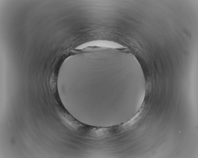 X0000110990186200907171759