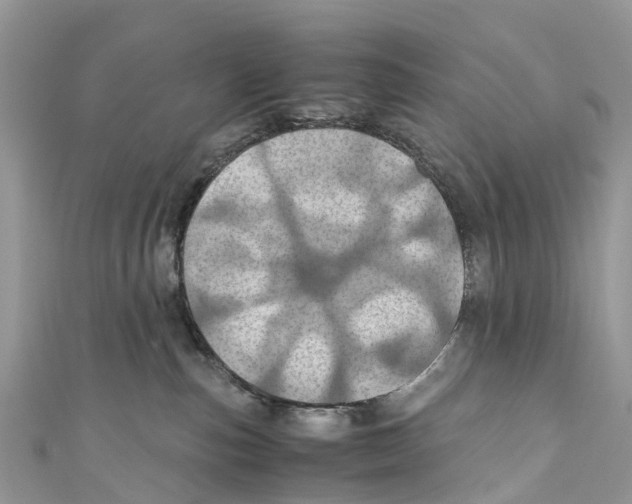 X0000110990187200907171759