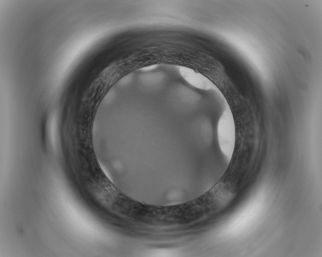 X0000110990189200907171759