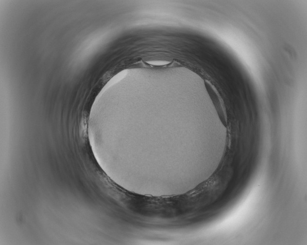 X0000110990190200907171759