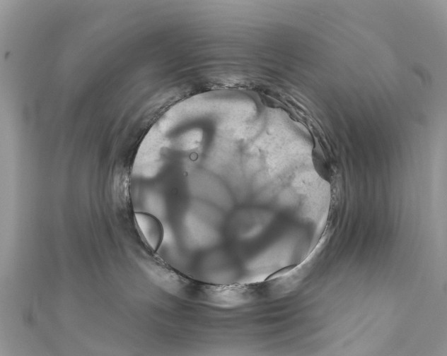 X0000110990191200907171759