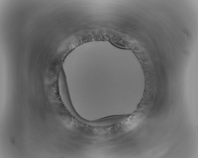 X0000110990192200907171759