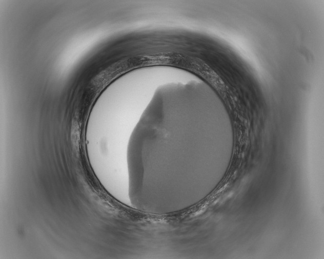 X0000110990194200907171759