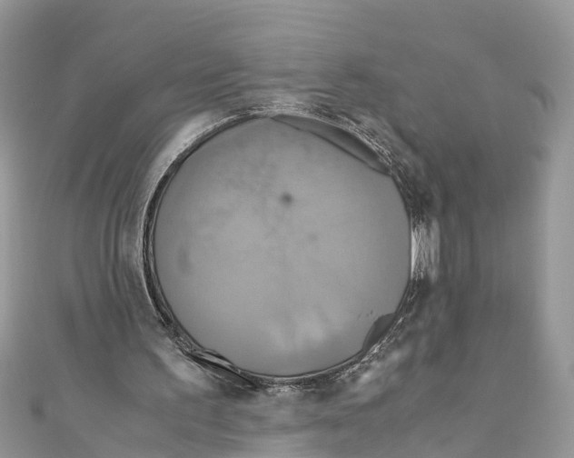 X0000110990195200907171759