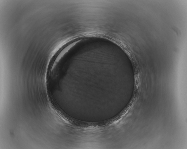 X0000110990196200907171759
