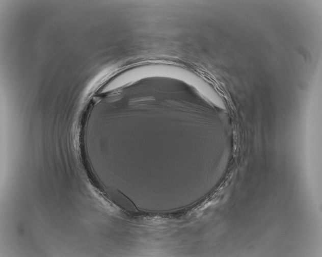 X0000110990197200907171759
