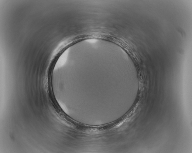 X0000110990198200907171759