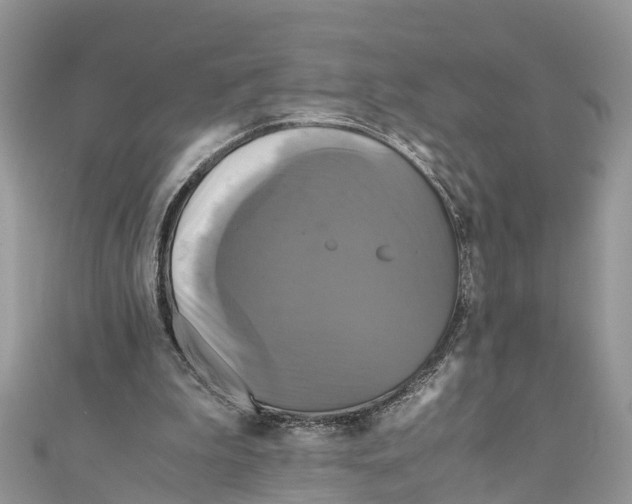 X0000110990199200907171759
