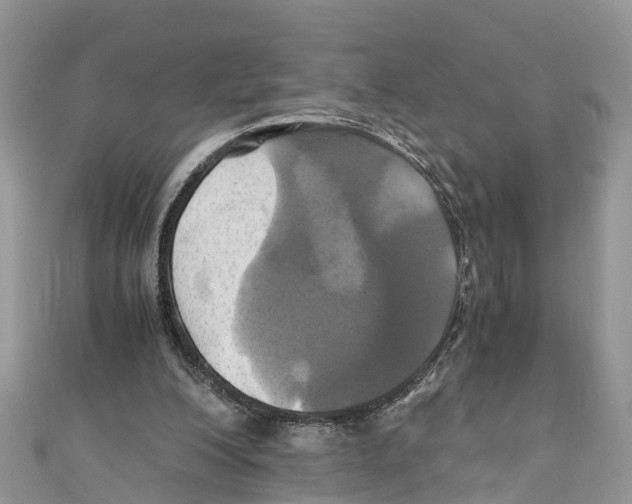 X0000110990200200907171759