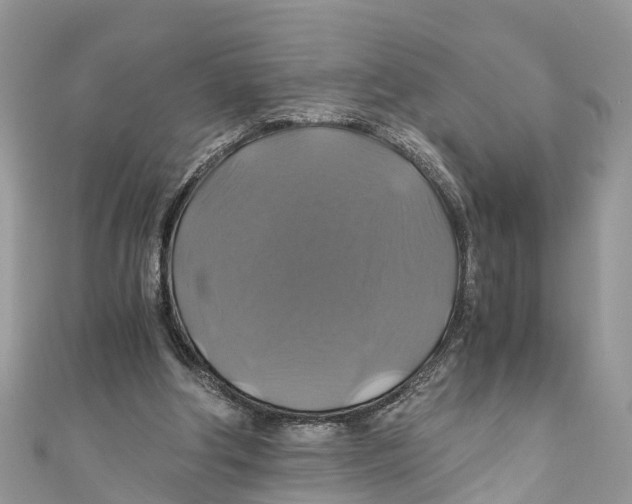 X0000110990202200907171759