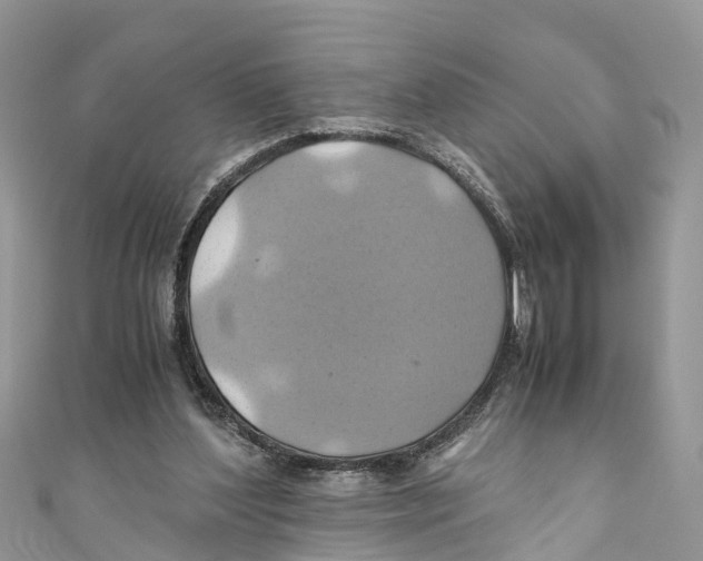 X0000110990204200907171759