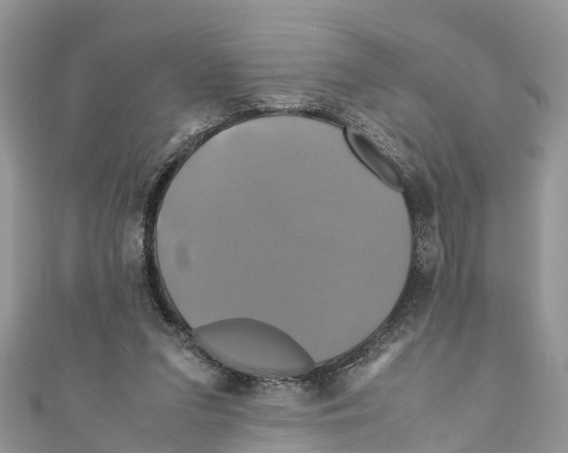 X0000110990207200907171759