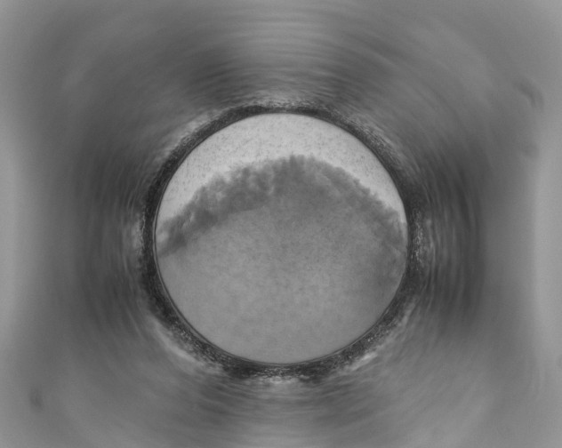 X0000110990208200907171758