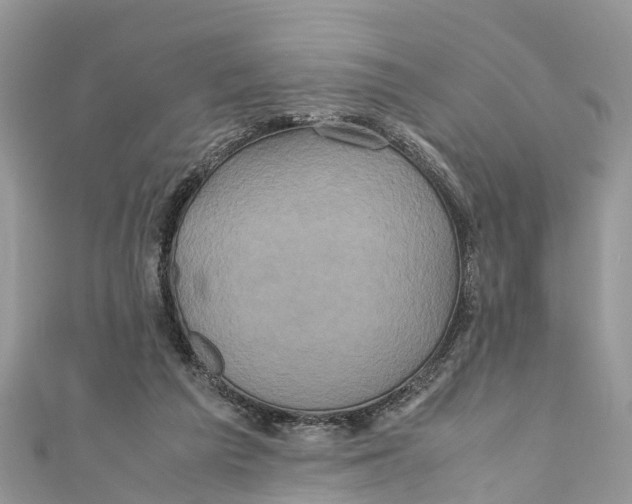 X0000110990209200907171758