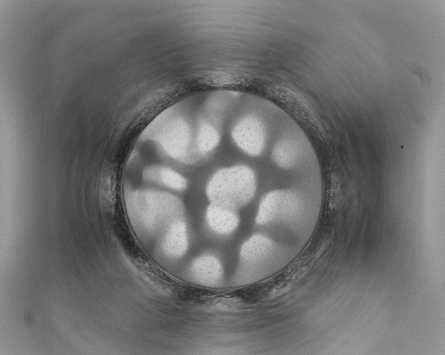 X0000110990210200907171758