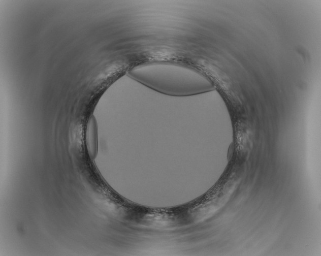 X0000110990211200907171758