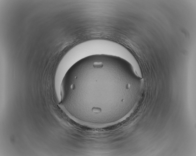X0000110990215200907171758