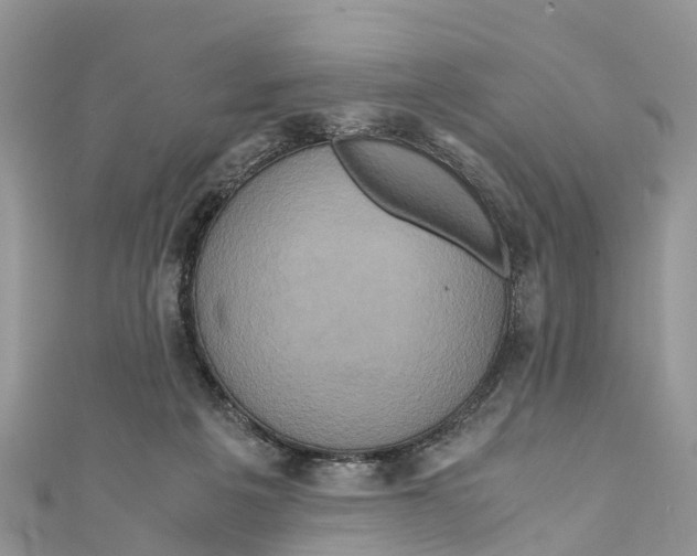 X0000110990217200907171758
