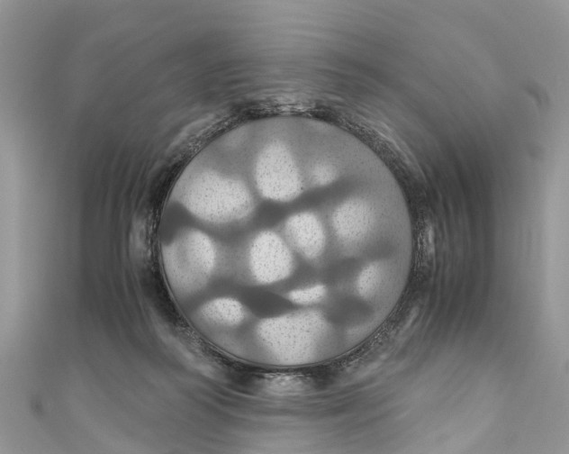 X0000110990218200907171758